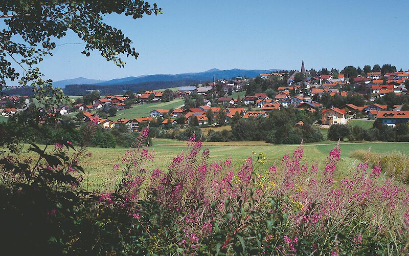 Hinterschmiding im Bayerischen Wald